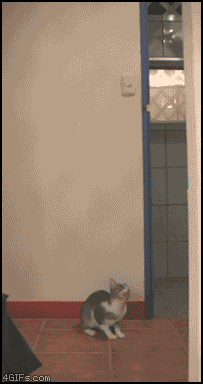 Acid Gifdump (10 gifs)