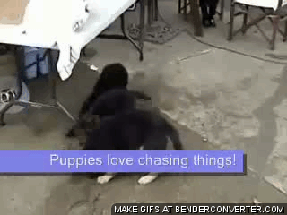 Acid Gifdump (10 gifs)