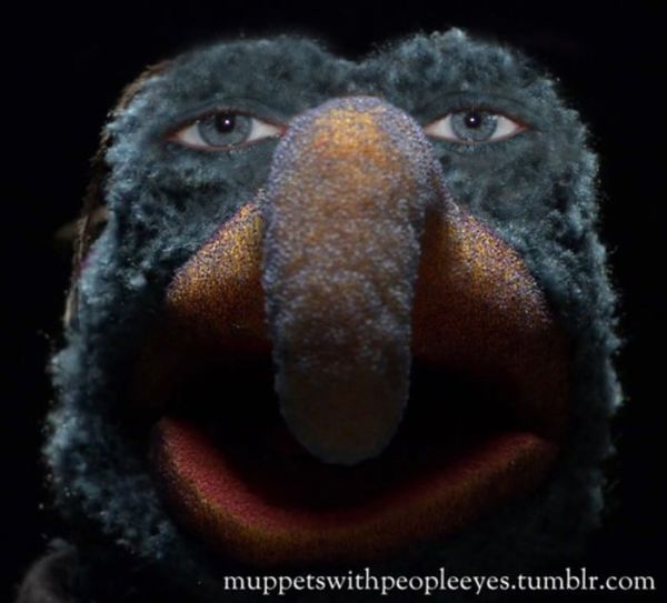 Muppets with People Eyes (11 pics)