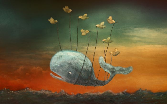 Twitter Fail Whale Illustrations (30 pics)