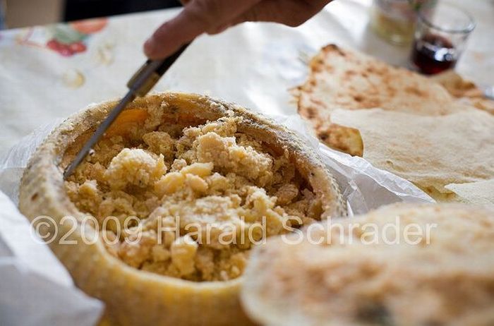 Casu Marzu Cheese (10 pics)