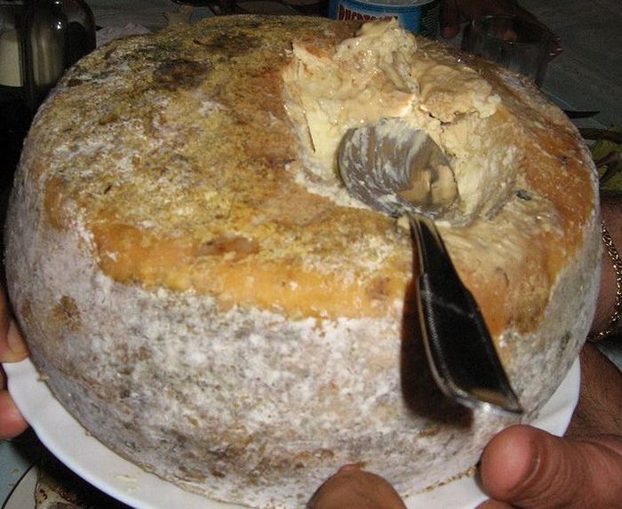Casu Marzu Cheese (10 pics)