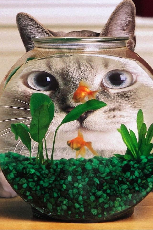 Your Daily Dose of Awesomeness (42 pics)