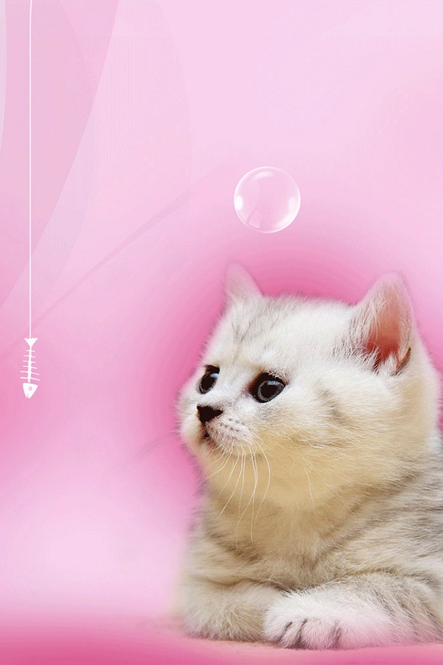 Your Daily Dose of Awesomeness (42 pics)