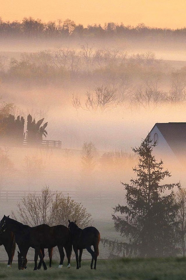 Your Daily Dose of Awesomeness (42 pics)