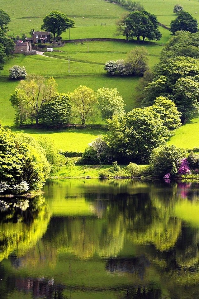 Your Daily Dose of Awesomeness (42 pics)