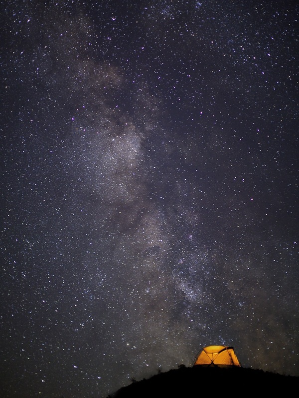 Your Daily Dose of Awesomeness (42 pics)
