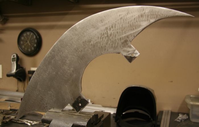 The Most Bad-Ass Bat Ever (10 pics)