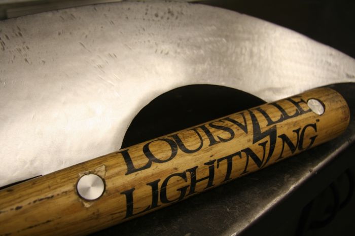 The Most Bad-Ass Bat Ever (10 pics)