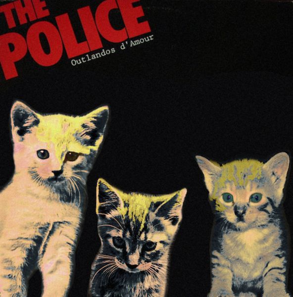 The Kitten Covers (20 pics)
