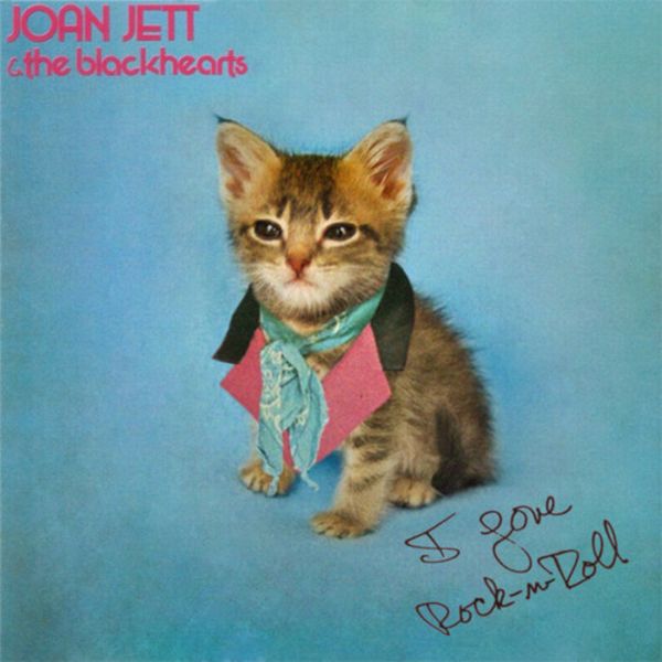 The Kitten Covers (20 pics)