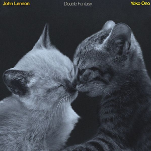 The Kitten Covers (20 pics)