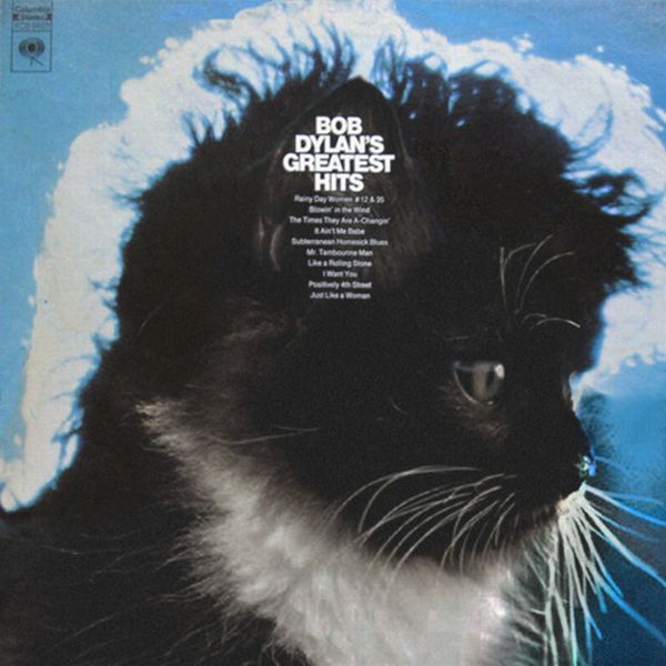 The Kitten Covers (20 pics)
