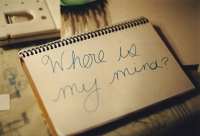 Quotes and More (175 pics)