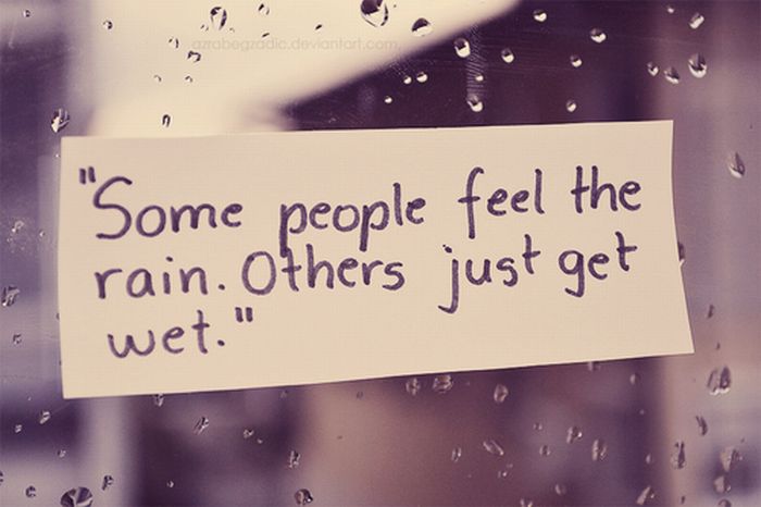 Quotes and More (175 pics)