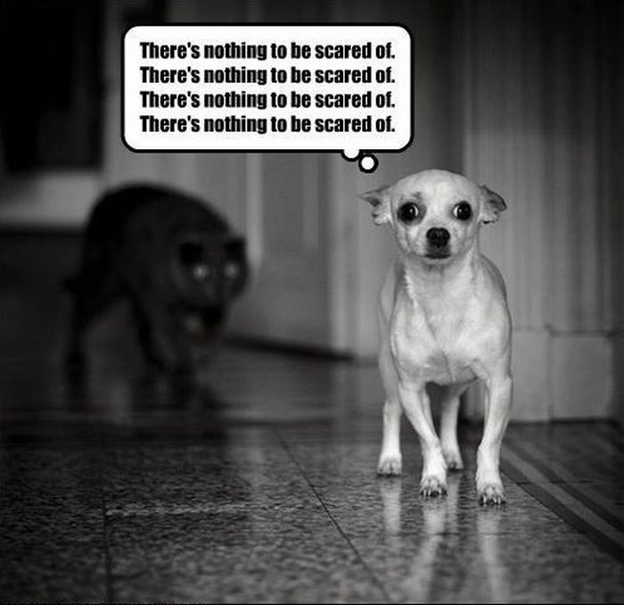 Quotes and More (175 pics)