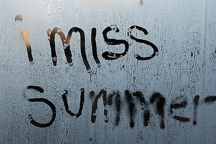 Quotes and More (175 pics)