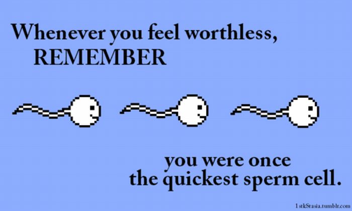 Quotes and More (175 pics)
