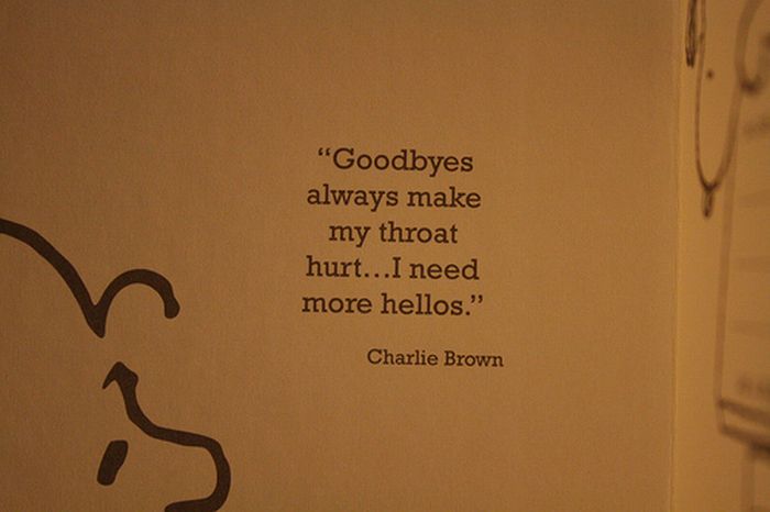 Quotes and More (175 pics)
