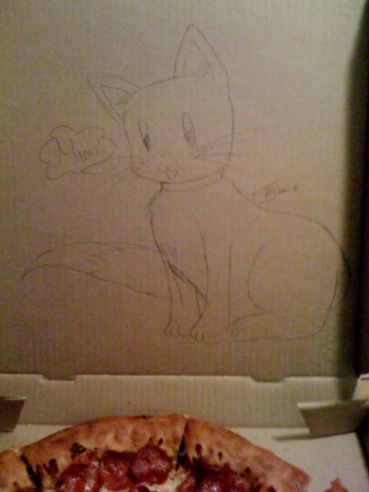 Pizza Box Drawings (28 pics)