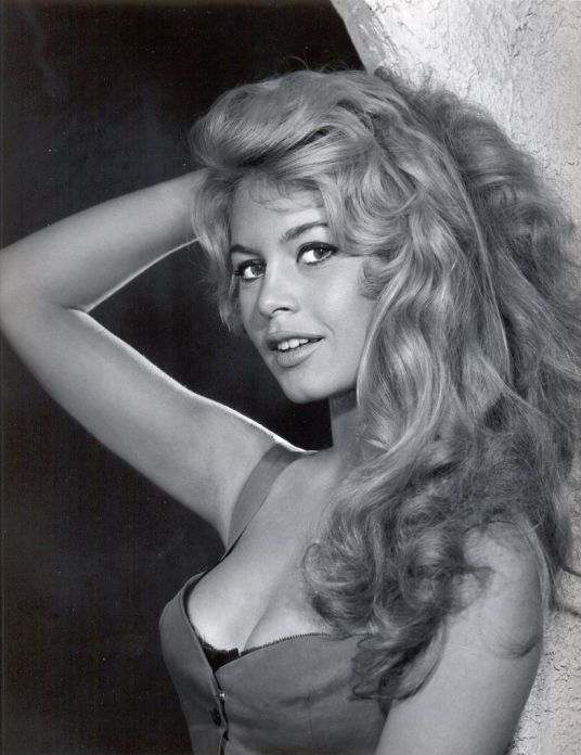 Brigitte Bardot Then and Now (16 pics)