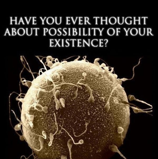 Possibility of Your Existence (1 pic)