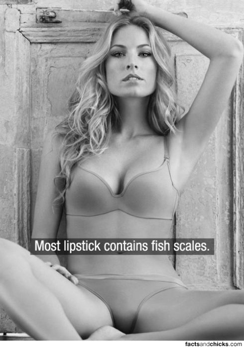 Hot Girls with Random Facts (148 pics)