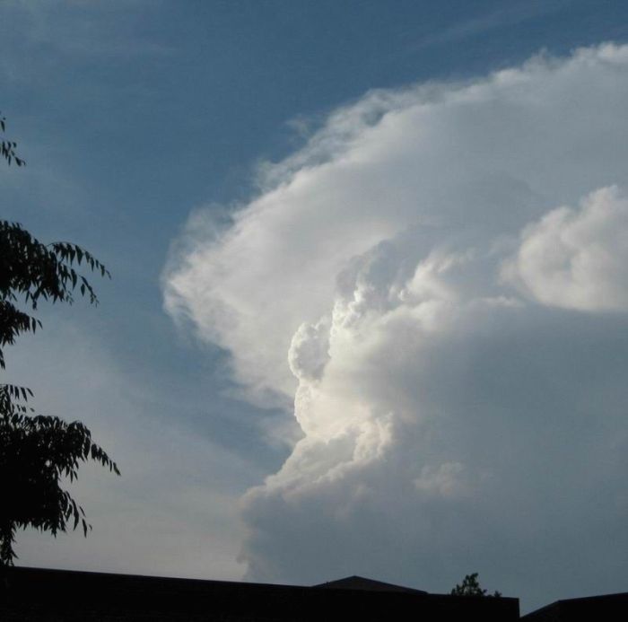 Bad Weather Photos (37 pics)