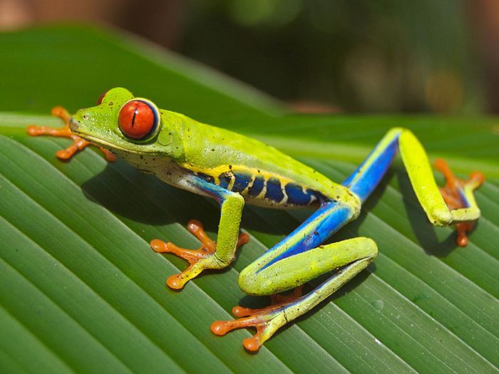 Amazing Photography (20 pics) Amazing Photography (20 pics)