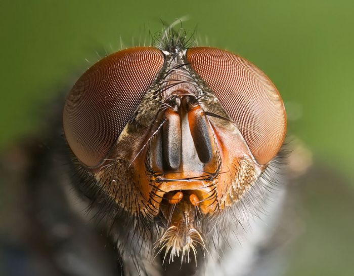 Amazing Photography (20 pics) Amazing Photography (20 pics)