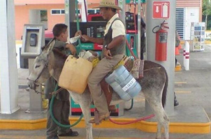 Only in South America (49 pics + 2 gifs)