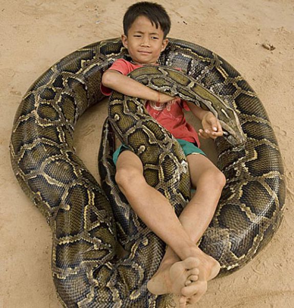 Boy and His Pet Python (14 pics + video)