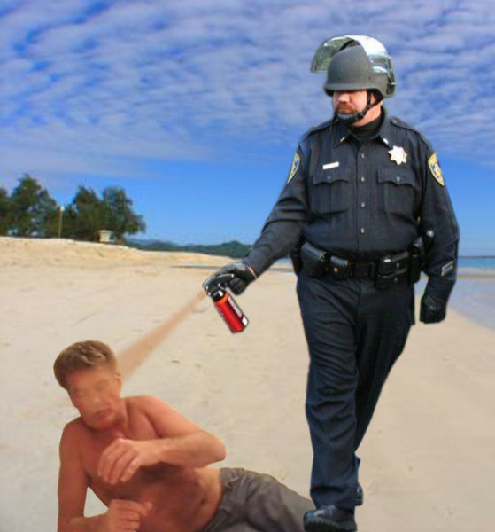 Pepper Spraying Cop Memes (45 pics + 1 gif)