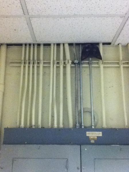 Trolling in the Office - Cute Kittens (9 pics)