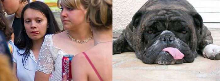 People vs Animals (22 pics)