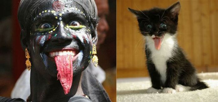 People vs Animals (22 pics)