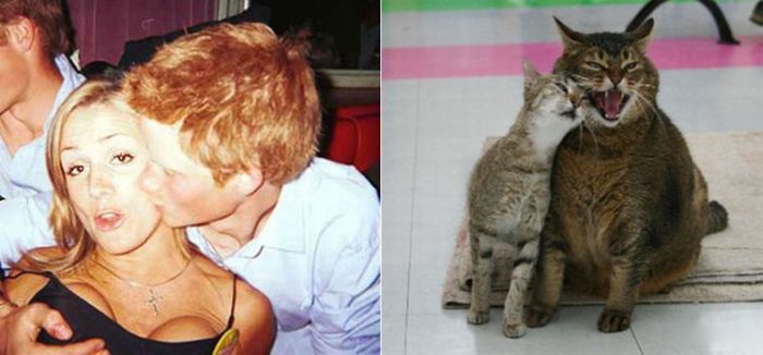 People vs Animals (22 pics)