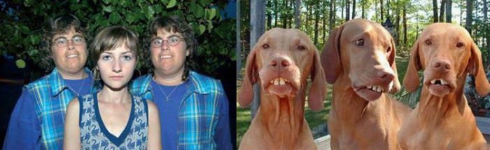People vs Animals (22 pics)