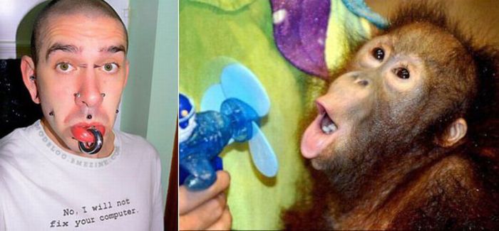 People vs Animals (22 pics)
