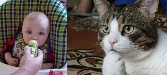 People vs Animals (22 pics)