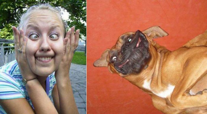 People vs Animals (22 pics)