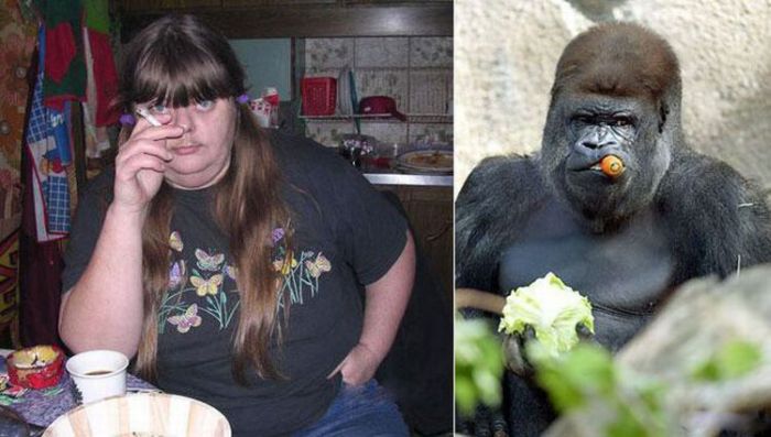 People vs Animals (22 pics)