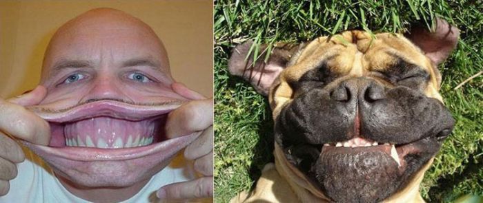 People vs Animals (22 pics)