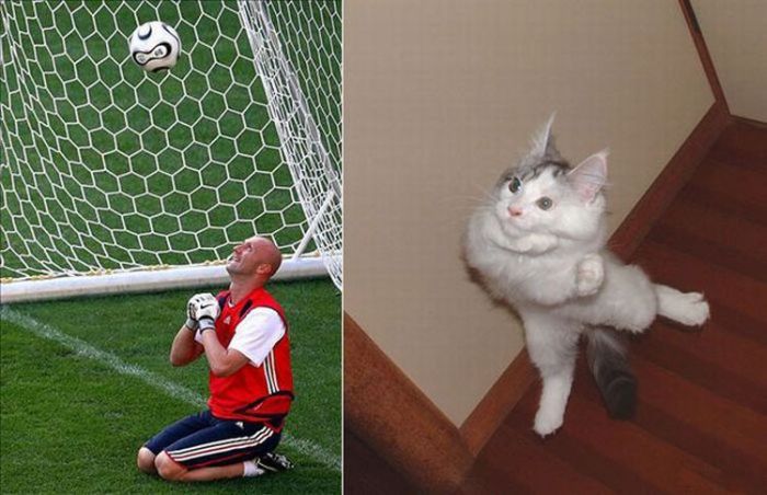 People vs Animals (22 pics)