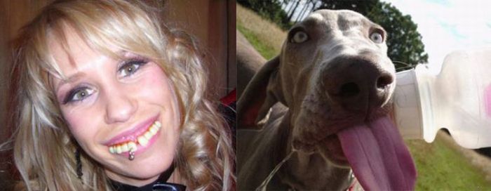 People vs Animals (22 pics)
