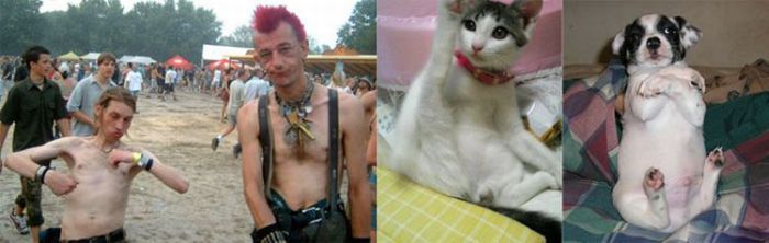 People vs Animals (22 pics)