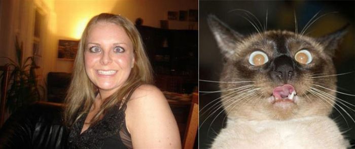 People vs Animals (22 pics)