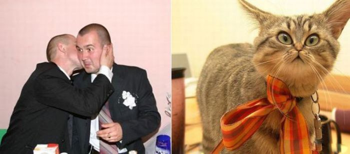 People vs Animals (22 pics)