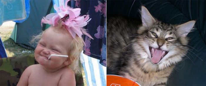 People vs Animals (22 pics)