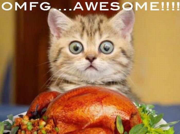 Funny Thanksgiving Moments (35 pics + 1 gif)